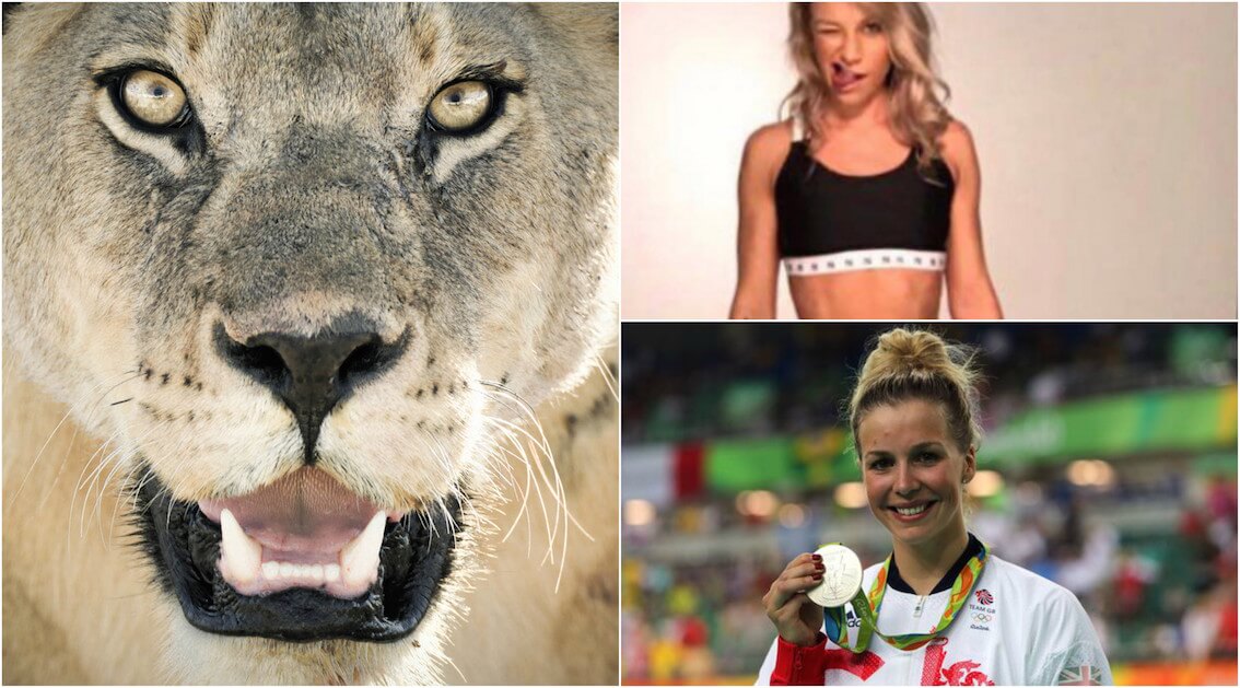 The Lionesses behind the Lions part one - In pictures